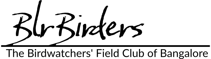 BlrBirders